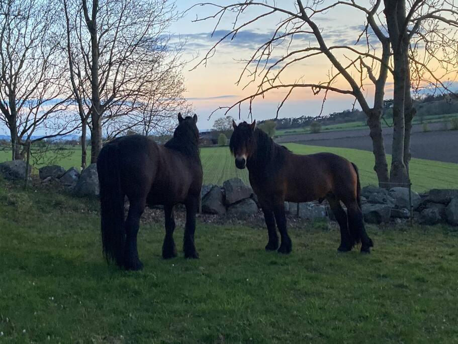 Fin Laegenhet Mitt Pa Bjaerehalvoen Leilighet Båstad Eksteriør bilde