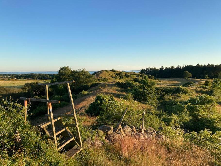 Fin Laegenhet Mitt Pa Bjaerehalvoen Leilighet Båstad Eksteriør bilde